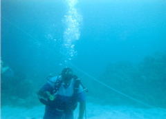 Divemaster Yogi