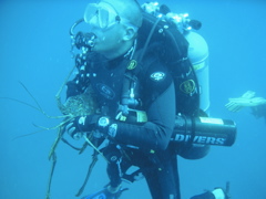 Pat Bringing Up a Lobster