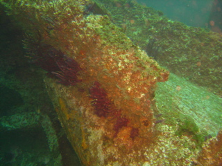 Hull of the John D. Gill