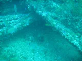 Wreck of the Normannia