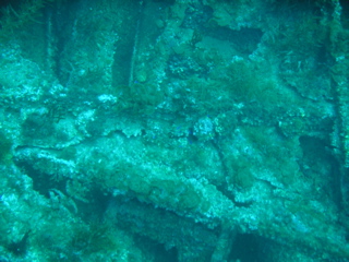 Wreck of the Normannia
