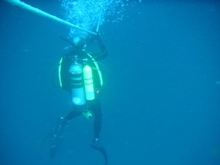 Jason Descending to the Normannia