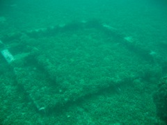 Coral on the Indra