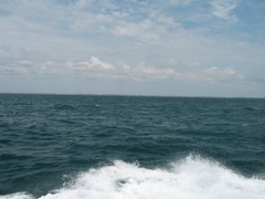 Shore View