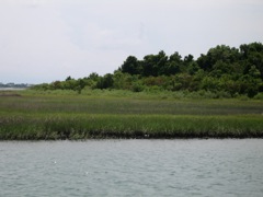 Island Near Morehead City