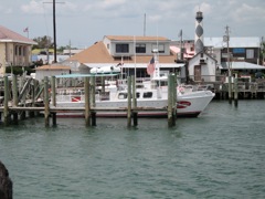 Dive Boat in Dock
