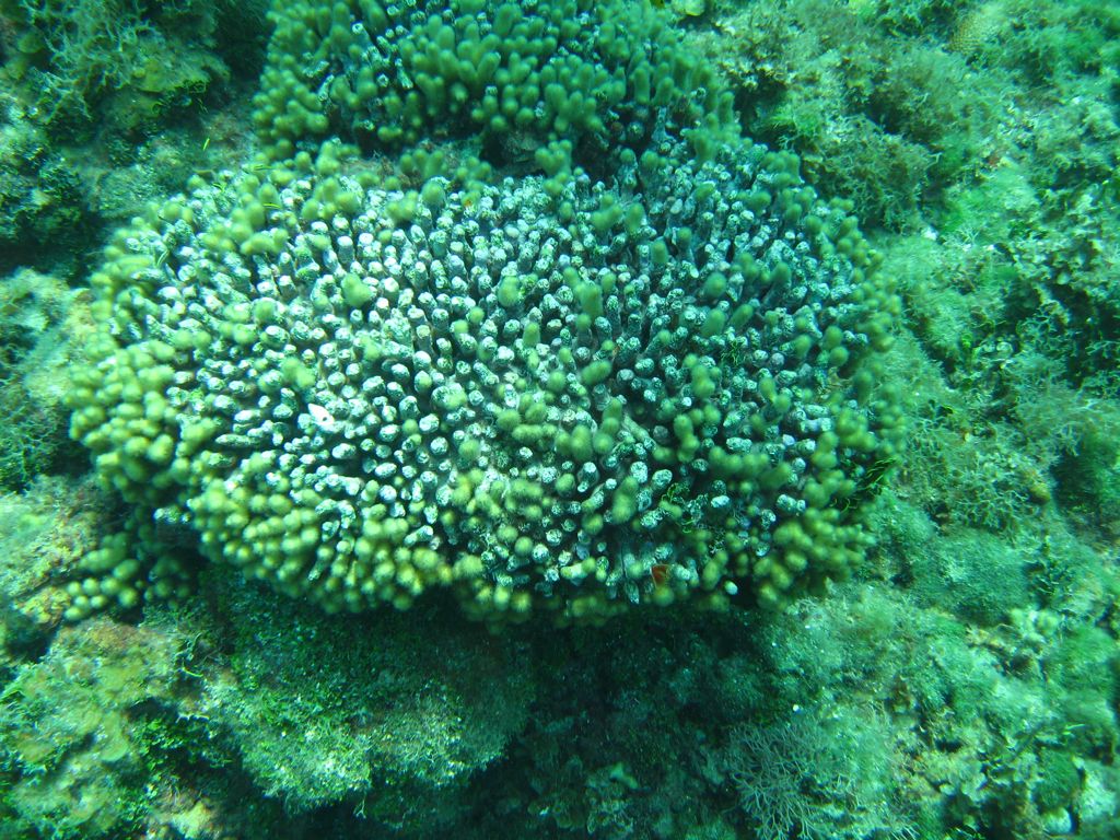 Ravine near The Katherine Wreck