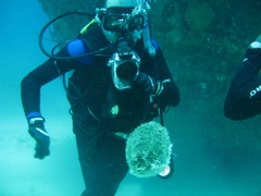 Jason with a Sea Cucumber