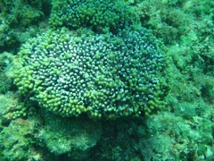 Ravine near The Katherine Wreck