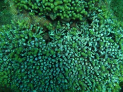Ravine near The Katherine Wreck