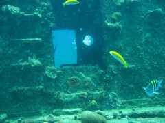The Katherine Wreck